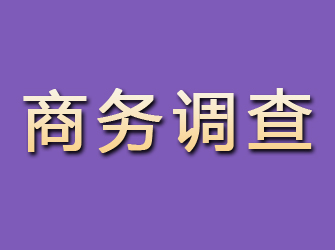 甘泉商务调查